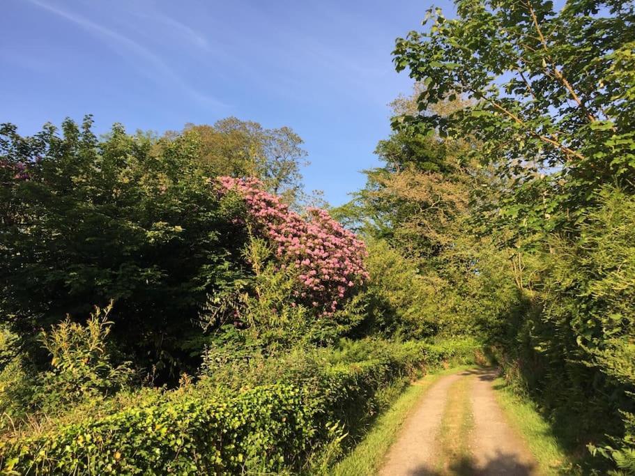 Tranquil Getaway Near Brecon Beacons Appartement Llandovery Buitenkant foto